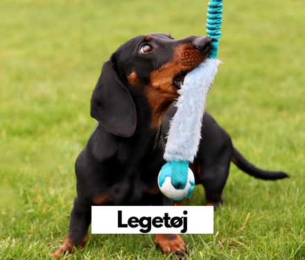 Legetøj hos shopdogsrus.dk Legetøj hos shopdogsrus.dk